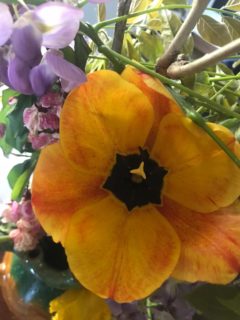 WhatsApp Image 2020-04-11 at 21.20.36